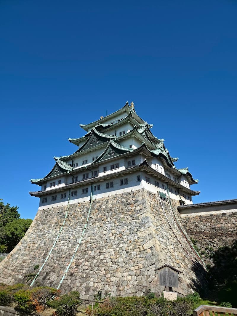 Wild Nagoya: Castles, Forest Temples & Hidden Alleys