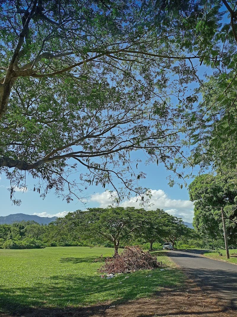 Namaka Market Wander