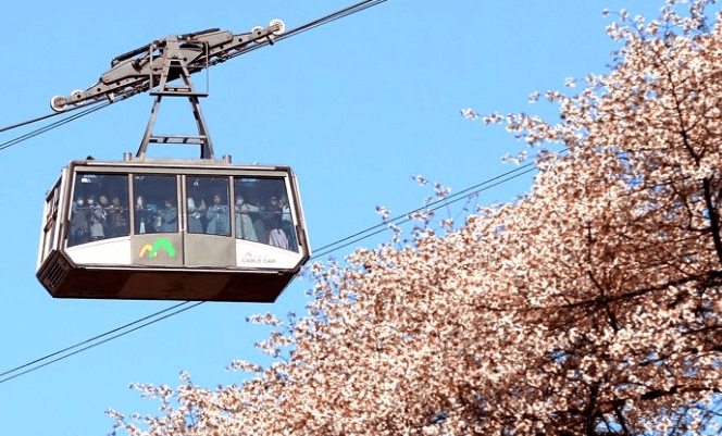 Namsan Cable Car & N Seoul Tower