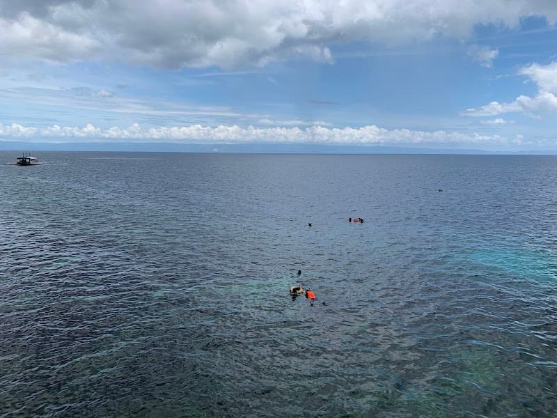 Napaling Reef Sardine Run Snorkeling