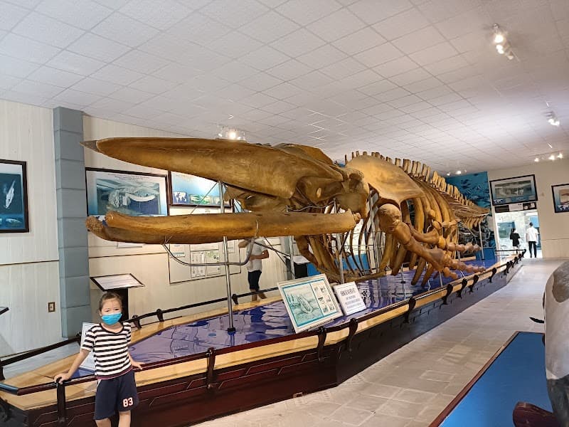 National Oceanographic Museum of Vietnam