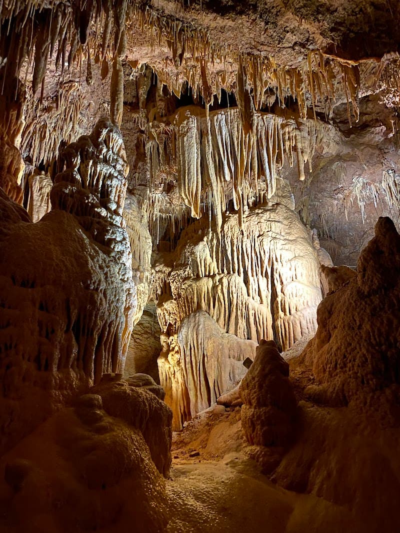 Natural Bridge Caverns Canopy Zipline & Adventure Course
