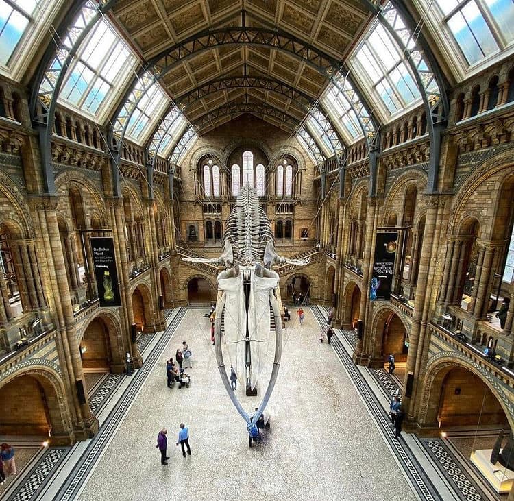 Natural History Museum & South Kensington