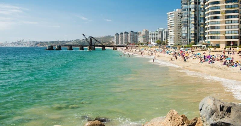 Naturista Viña del Mar