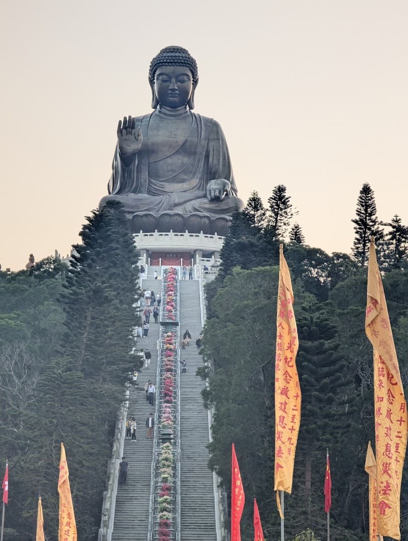 Ngong Ping 360 Cable Car & Big Buddha