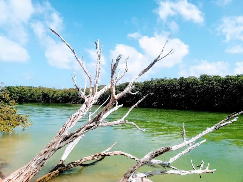 Nichupté Lagoon Boat