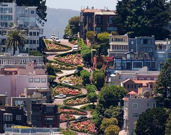 Night View from Russian Hill / Lombard Street