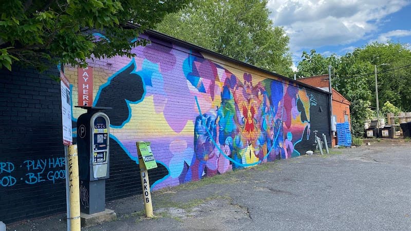 NoDa Arts District Free Explore