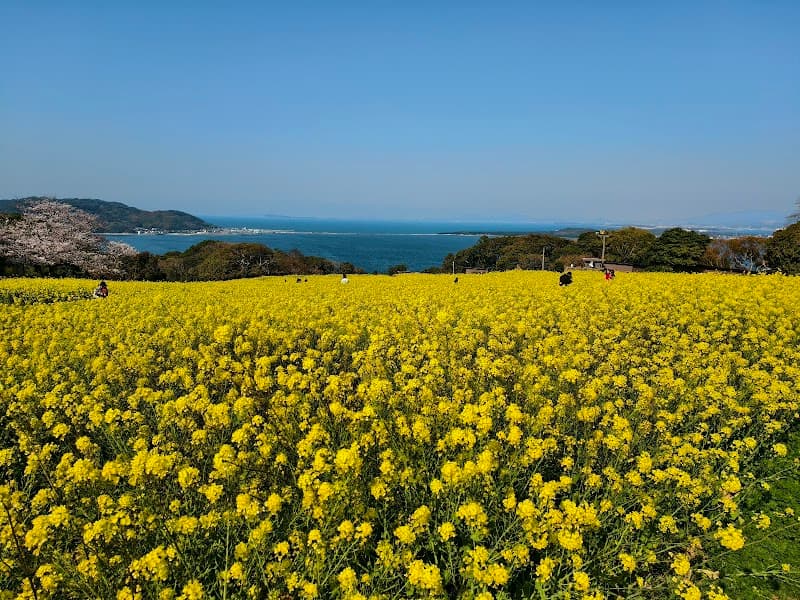 Nokonoshima Island Park