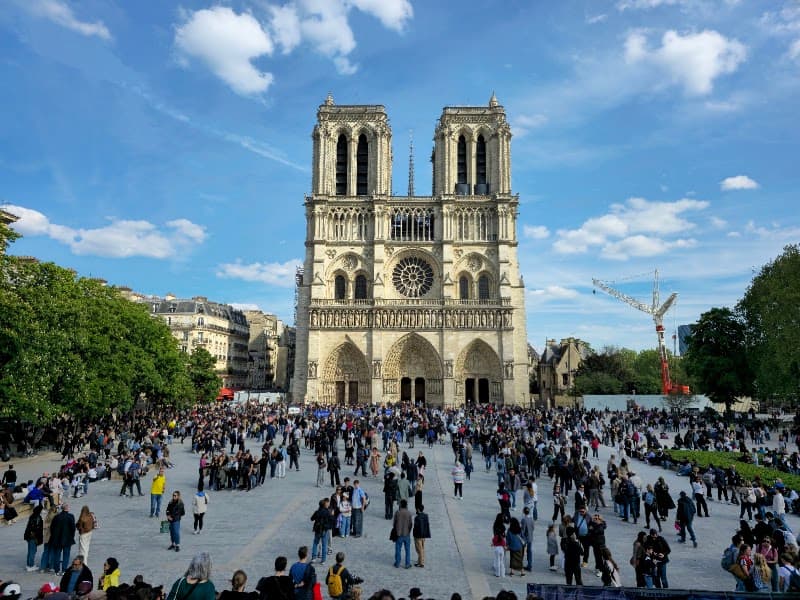 Notre-Dame area and Île de la Cité walk