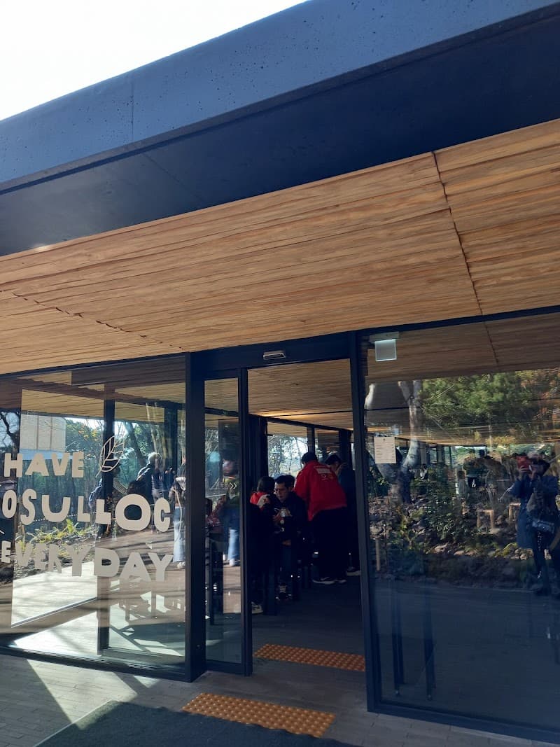 O’Sulloc Tea Museum & Innisfree Jeju House