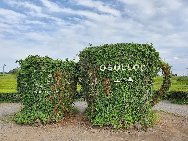 O’sulloc Tea Museum