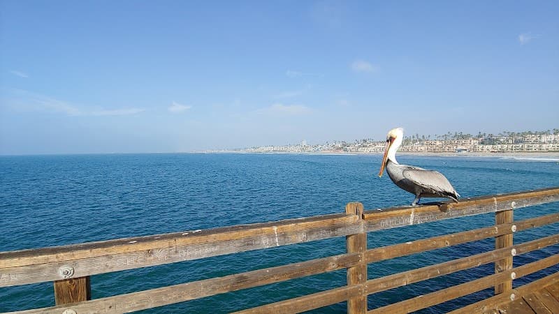 Ocean Beach Pier Walk