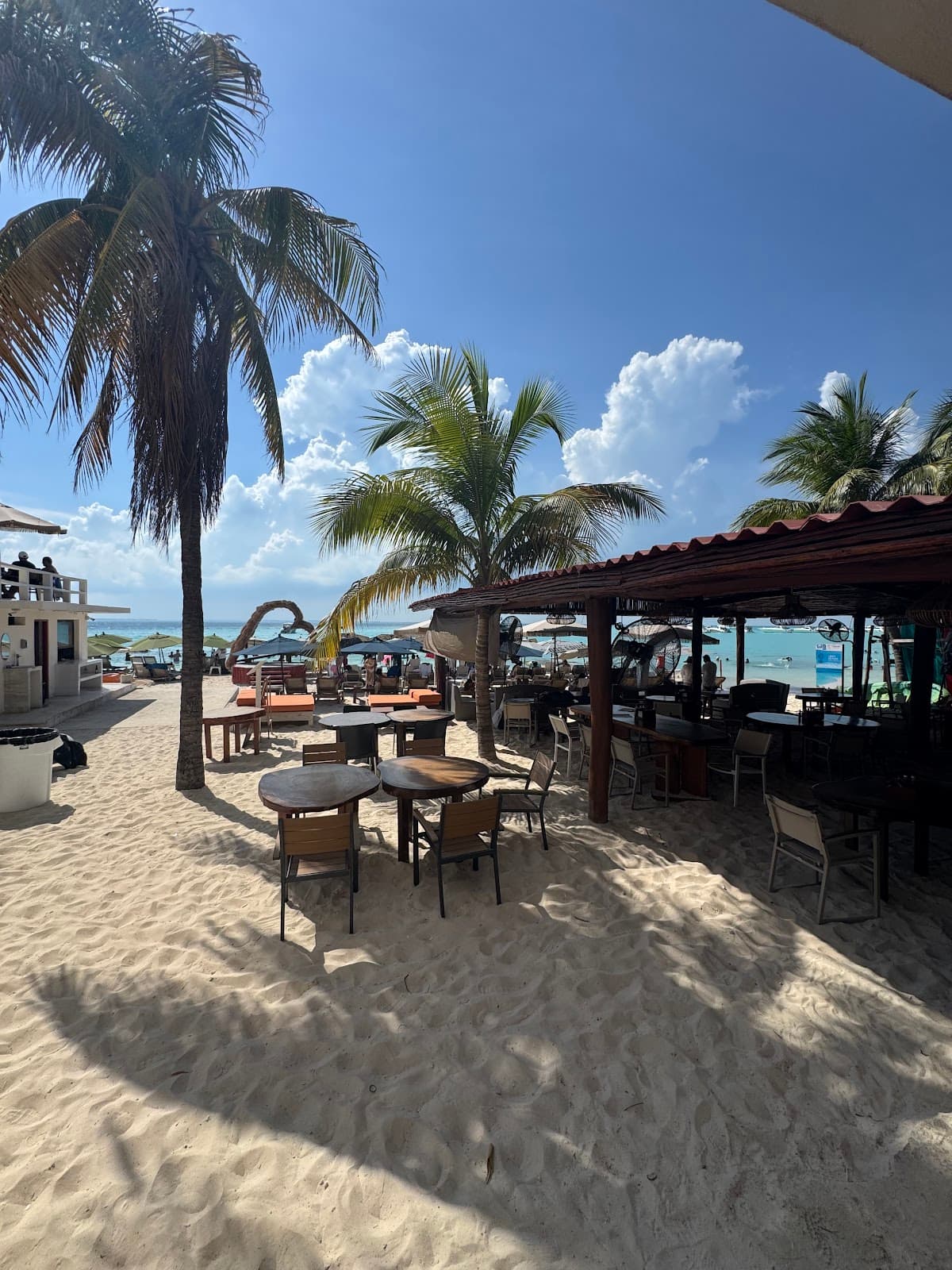 Oceanvs Beach Club (Playa Norte area)