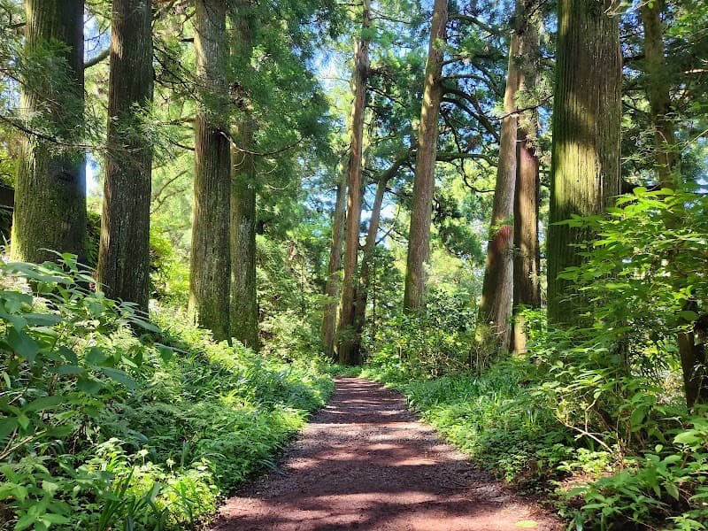 Old Cedar Avenue & Lakeside Path Walk