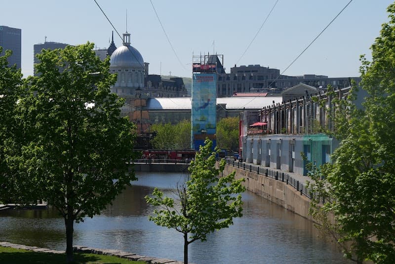 Old Port Zipline (Tyrolienne MTL)