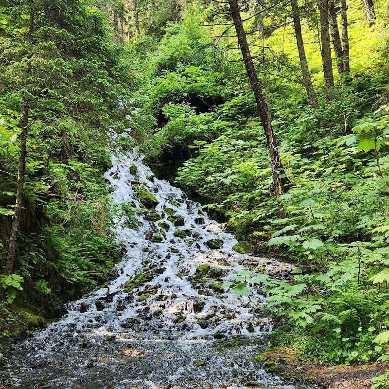 Two Lakes Park Forest Loop