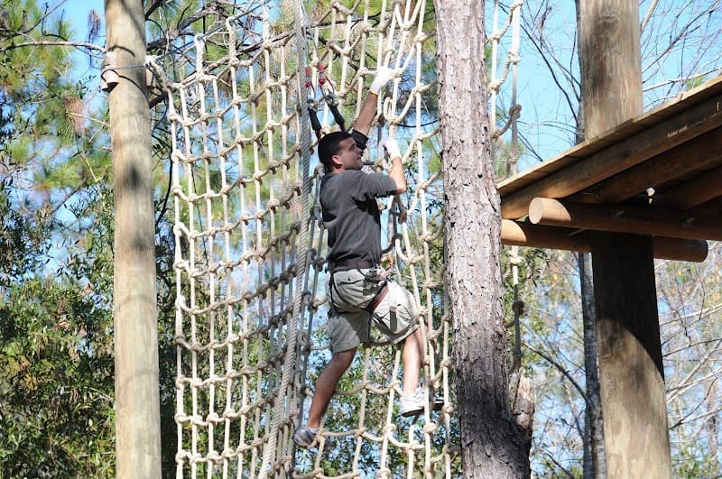 Orlando Tree Trek Adventure Park (Zipline & Aerial Course)