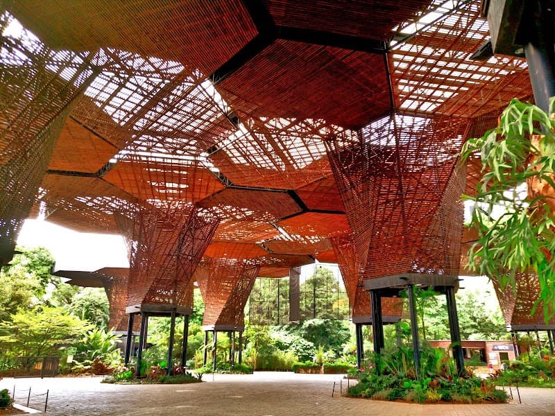 Orquideorama