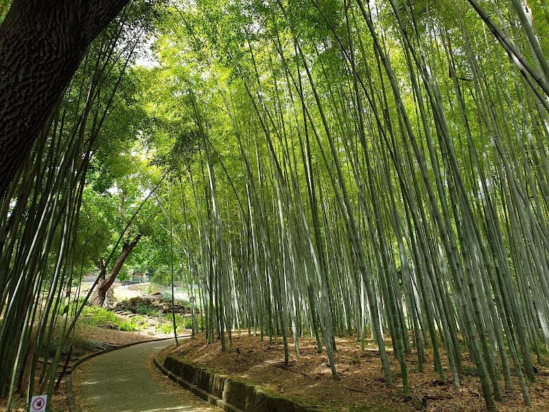 Orto Botanico di Roma