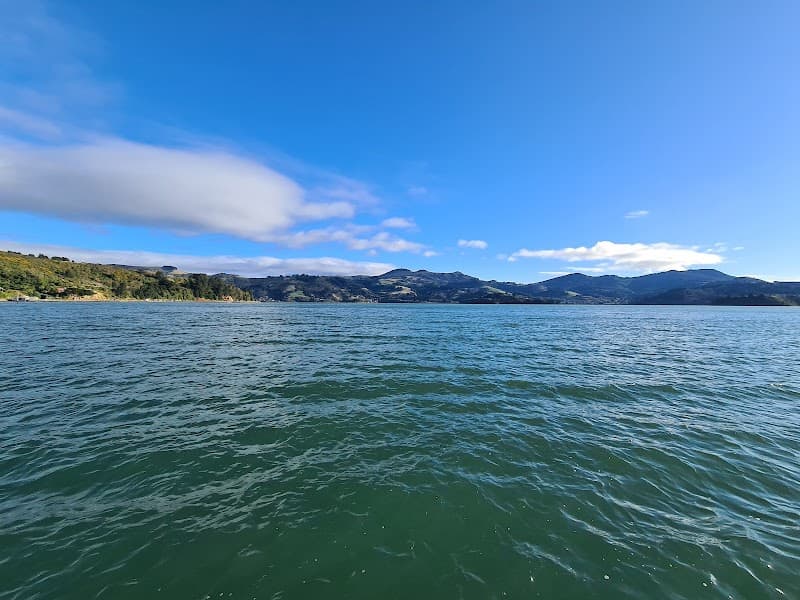 Otago Peninsula Scenic Drive (DIY)