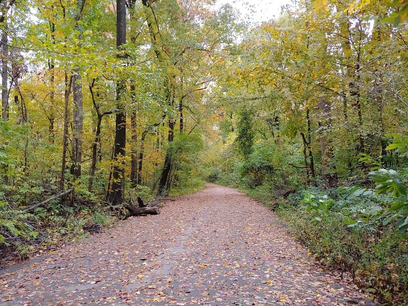 Overton Park Forest & Greensward
