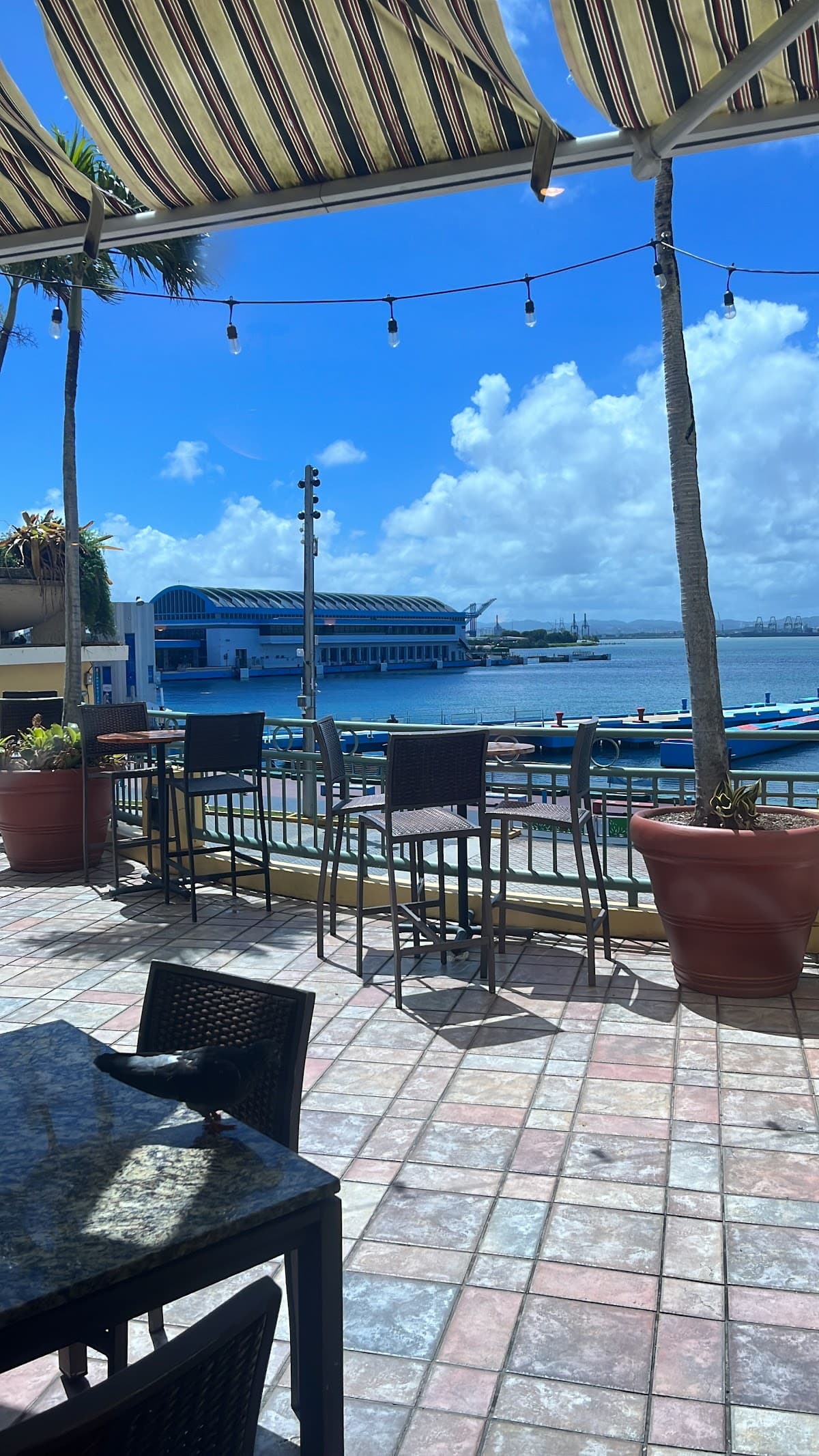 Palio Restaurant