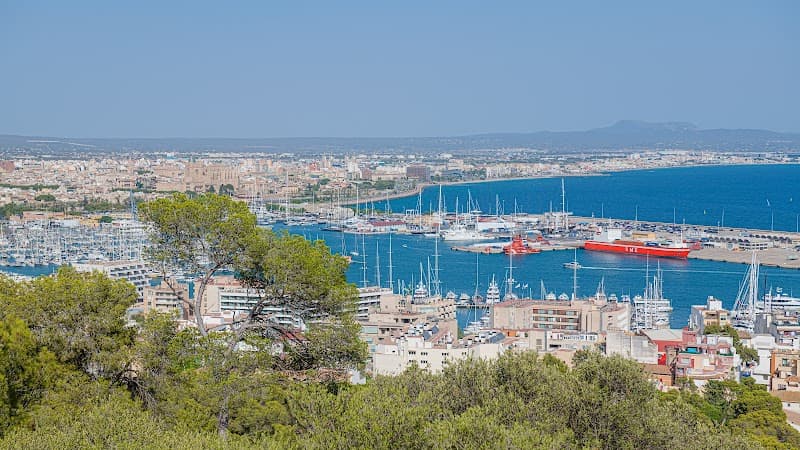 Palma Bay Catamaran Cruise (Daytime)