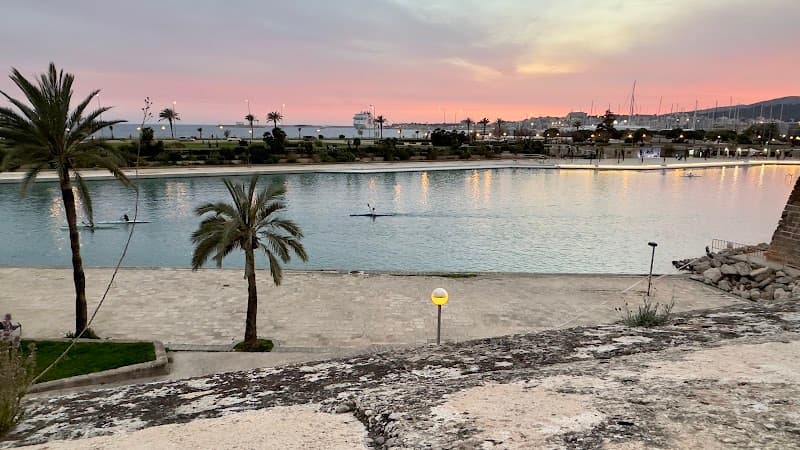Palma Cathedral (La Seu) & Parc de la Mar Stroll