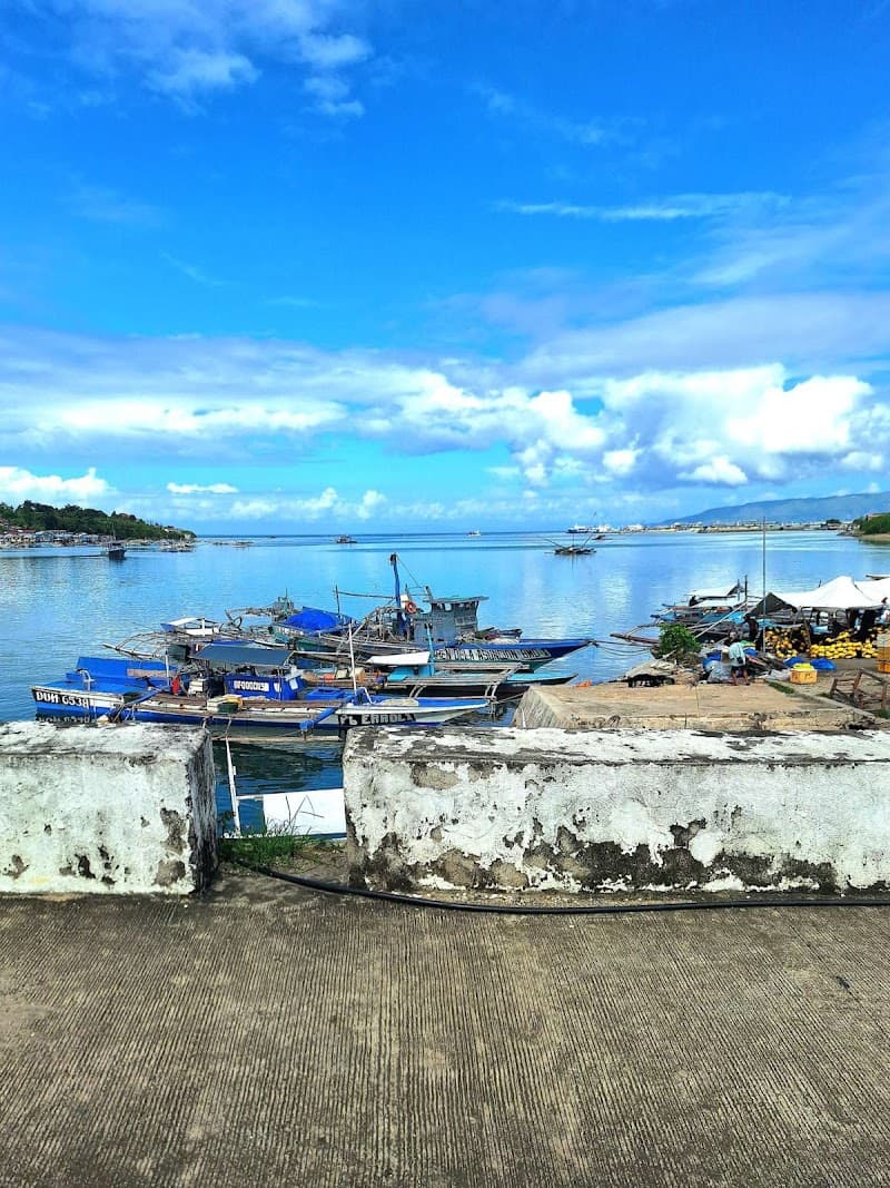 Panglao Island Free-Explore Loop