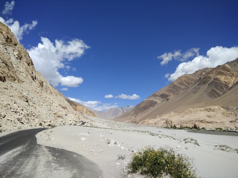Pangong Lake Shore