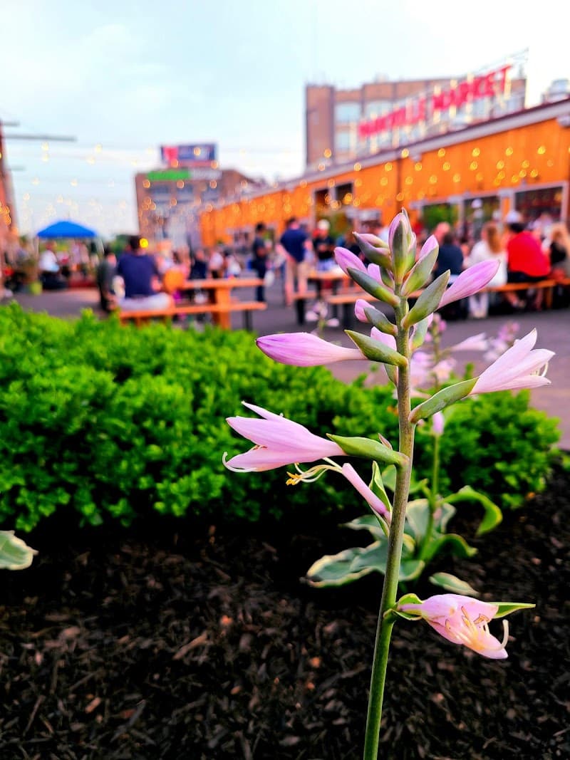 Park Street Corridor Walk