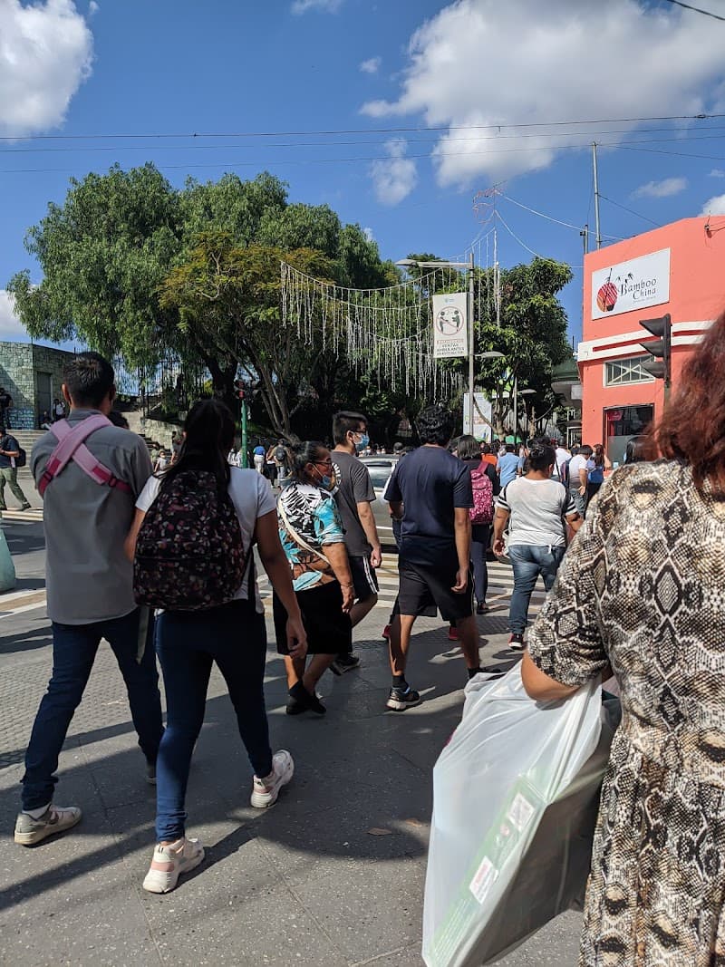Paseo La Sexta (6a Avenida peatonal)