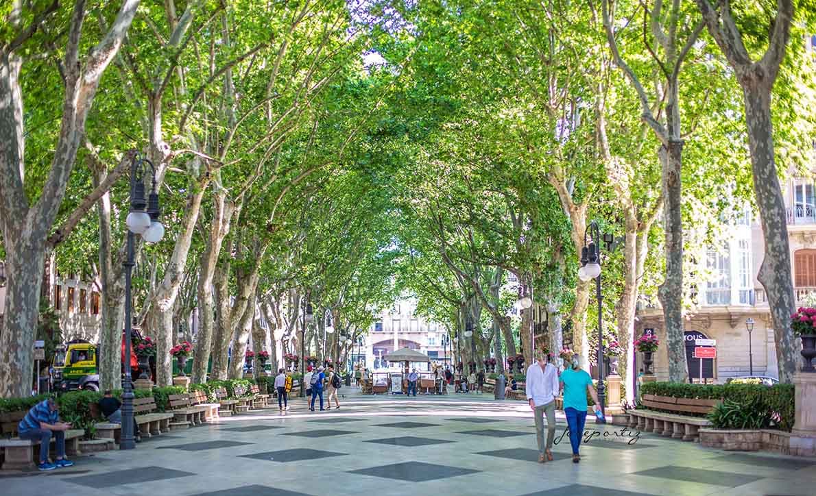 Passeig des Born