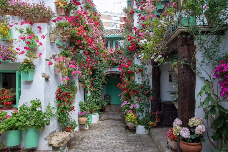 Patios of San Basilio Walk