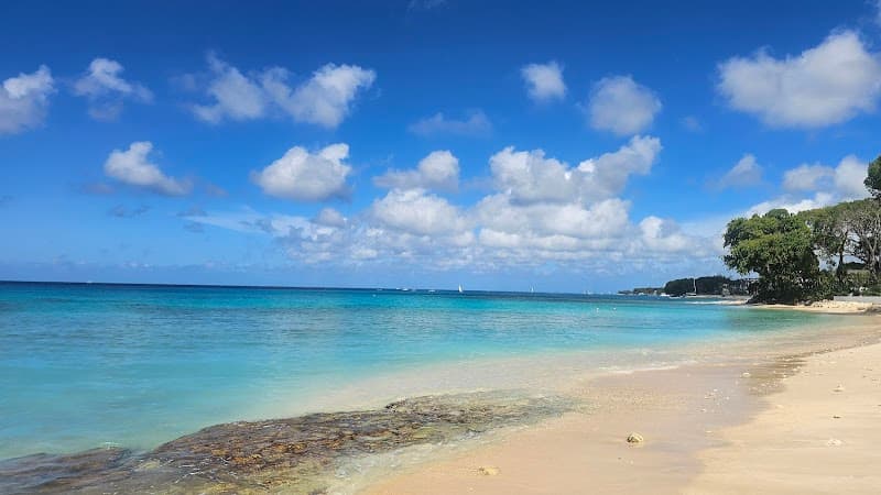 Paynes Bay Catamaran