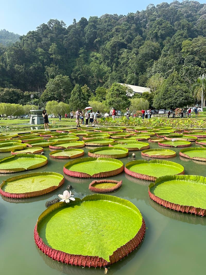 Penang Botanical Gardens