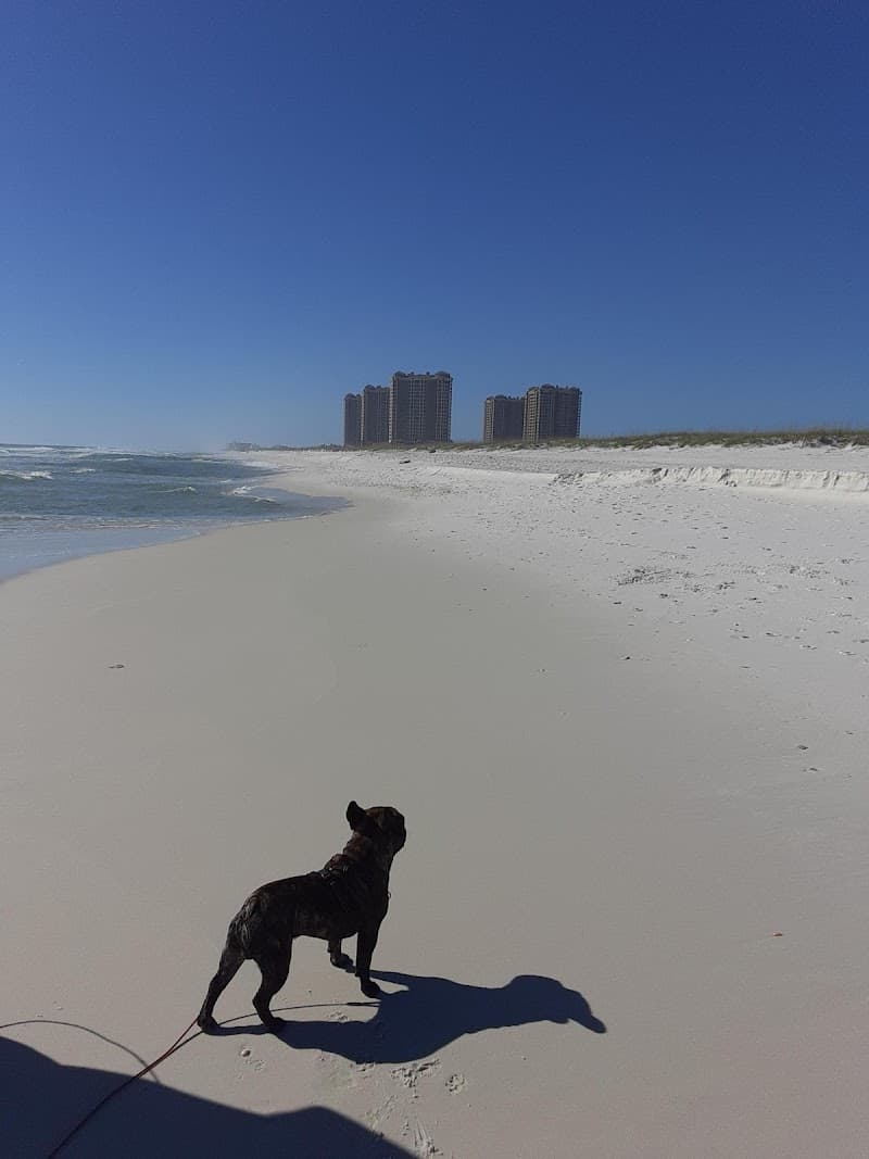 Pensacola Beach Kayak Tour