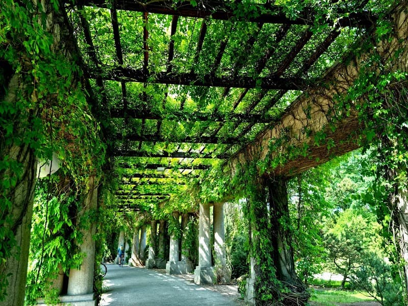 Pergola Restauracja