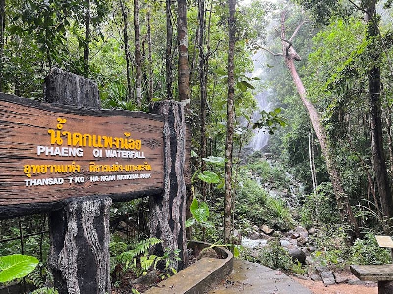 Phaeng Noi Waterfall & Jungle Trail