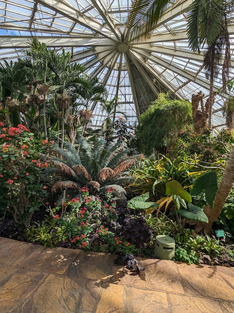 Phoenix Park Arboretum