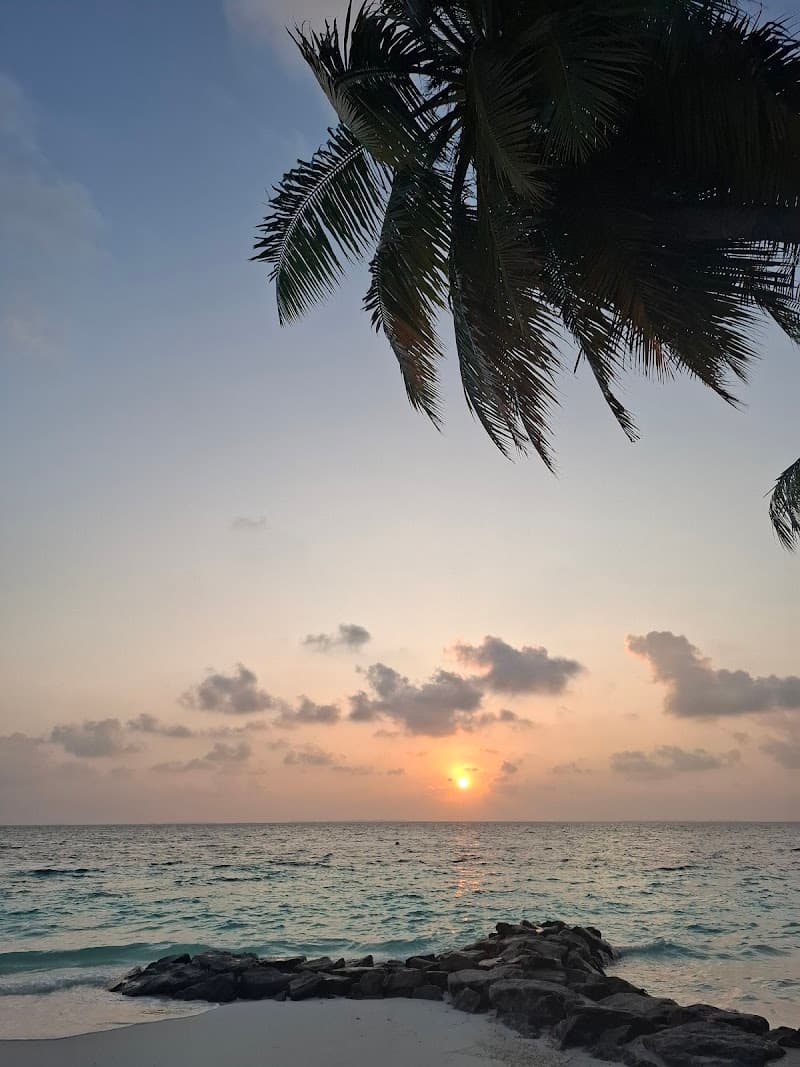 Photography Beach Hunt