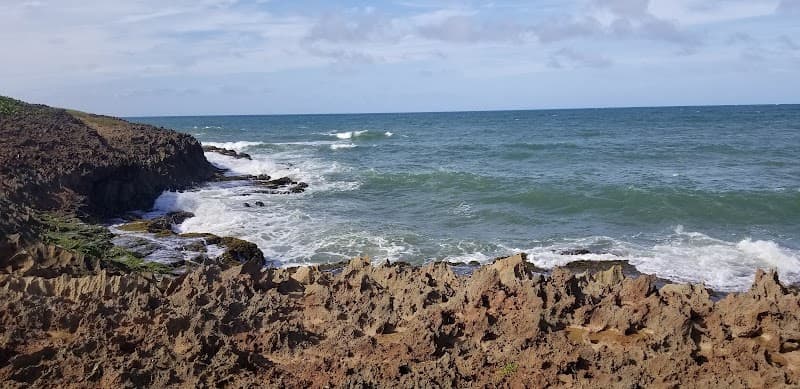 Piñones State Forest