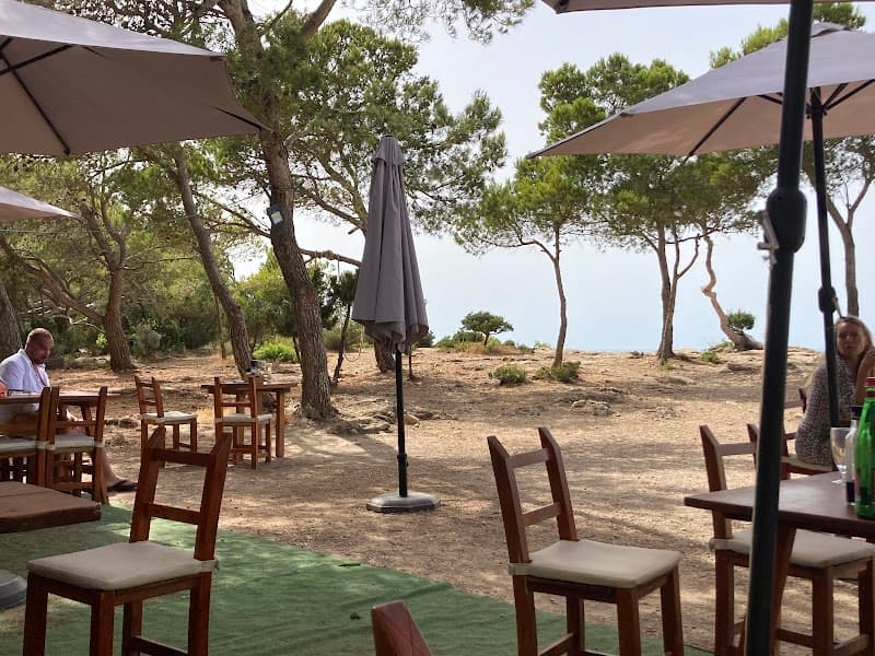 Picnic Lunch at Las Puertas del Cielo Viewpoint Area
