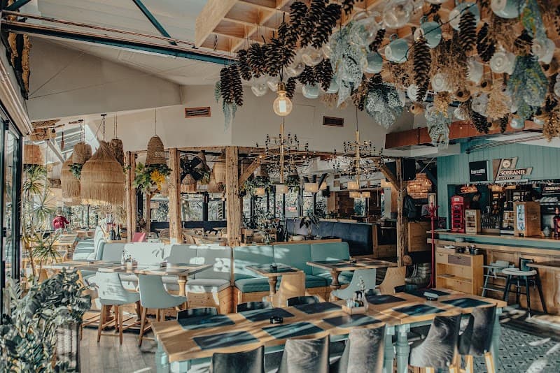 Leafy Danube Escape: A Relaxing Novi Sad Weekend