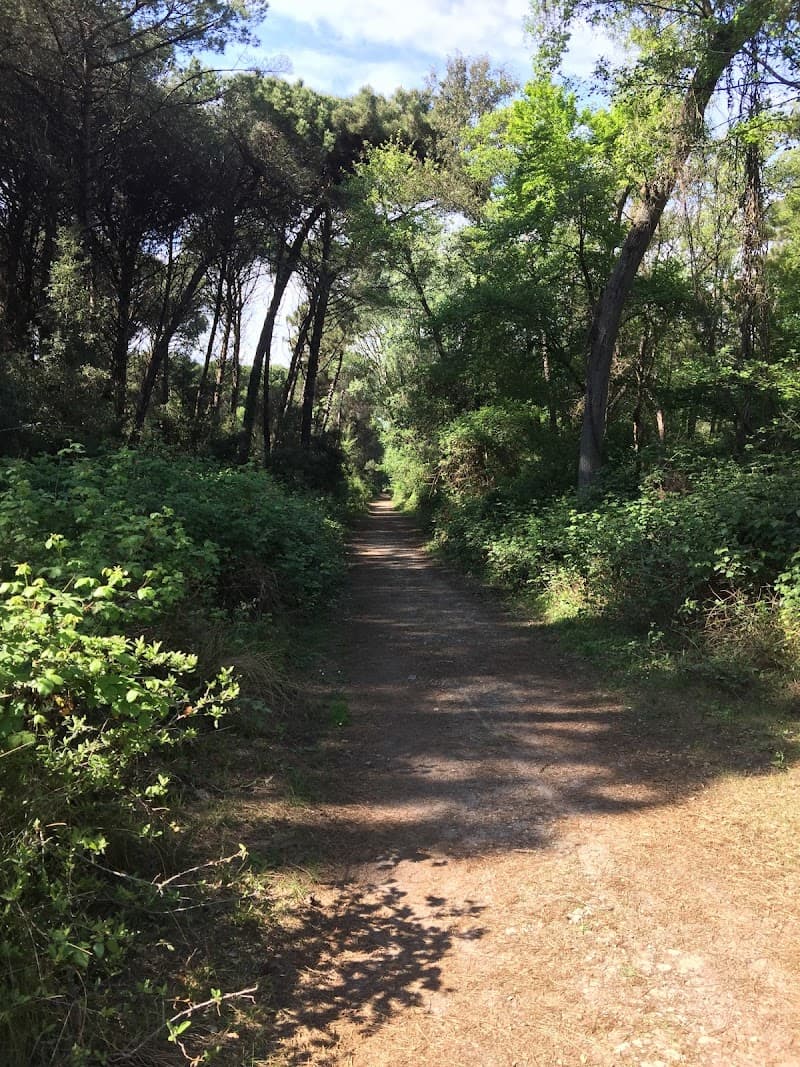 Pineta di Levante Trails