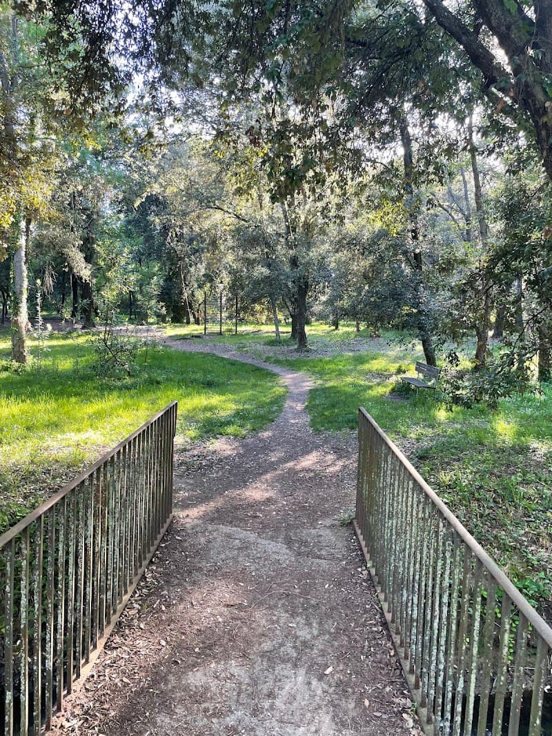 Pineta di Ponente Nature Walk