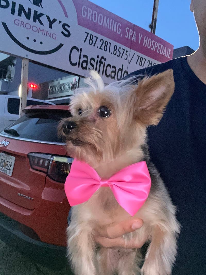 Pinky's