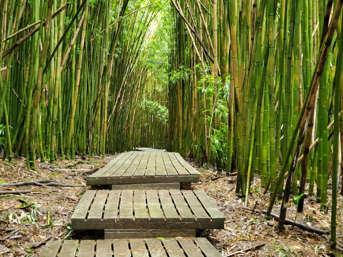 Pipiwai Trail