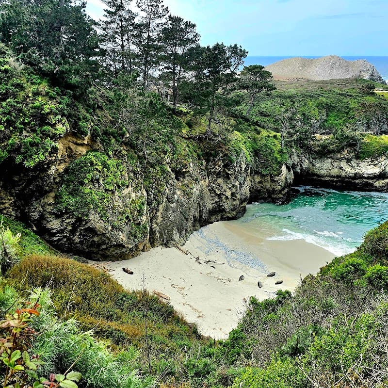 Point Lobos State Natural Reserve